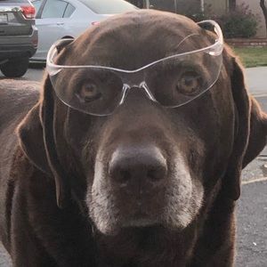 Meet your Posher, Ana maria